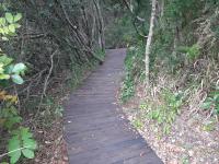 The Nest @ The Old Trading Post - Chambres d’hôtes Wilderness