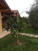 Locanda dei Rii - Ferienwohnung Manerba del Garda