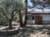 Risveglio sull'Etna - Bed and Breakfast Belpasso