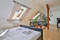 Suite Mansardata