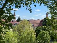 Superior Two-Bedroom Apartment with Balcony (Vokieciu St. 9)