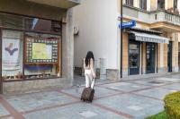 Rustic Luxury Apartment - Valjevo centre BID Zone - Chambres d'hôtes Valjevo