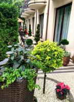 NA BIAŁEJ - B&B