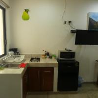 Studio Apartment with King Bed