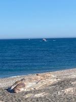 Appartement Casares - Mer, Golf, Piscine, Padel - FINCA CORTESIN - B&B Estepona