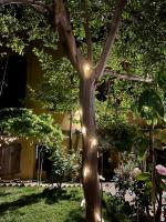 B&B 'Degli Artisti' - B&B