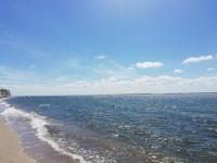 Vergiss mein nicht - B&B Putbus