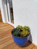 Domki na Zapotocu - B&B Grywałd