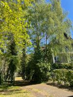 Apartamenty Ogrodowa - B&B