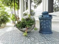 Sealine - B&B Podstrana