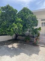 Rooms for rent habipi - B&B Valona