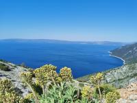 Guesthouse Stivan (920) - Bed and Breakfast Cres