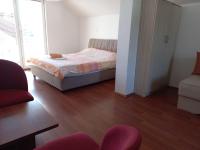 King Studio with Sofa Bed