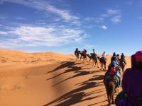 B&B Merzouga - Camel Trekking Camp - Bed and Breakfast Merzouga