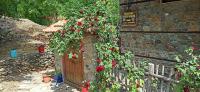 Sintrivanis Mountain - B&B Áno Skotína