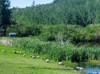 Duck Lake Lodge