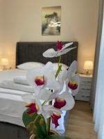 Izi Palace Deluxe StudioB1 - Ferienwohnung Sonnenstrand