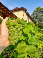 Cascina Teresina - B&B Veleso