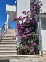 Jandom - B&B Malinska