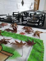 Casa e Flat Conforto Gramado - Ferienwohnung Gramado