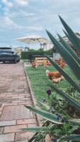 Casa Vacanze Ricca Vigna - B&B Valdobbiadene