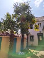 Aux Trois Palmiers - B&B
