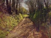 Bosvean House Bed & Breakfast - B&B Bude