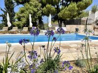 Spacious new villa with pool above the pristine beach - FIRST SEASON PRICING!!! - B&B