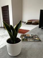 Meiman House close to Asia Mall - B&B Bishkek