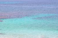 Dimora Don Mimì - B&B Monopoli