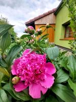Gościnna Zagroda Gościejowice Noclegi Apartamenty Agroturystyka Niemodlin - B&B Niemodlin
