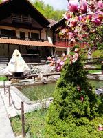 Hanul Vanatorului - B&B Gureni