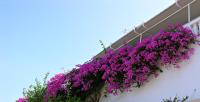 Panoramic Views Home in Hydra, Greece - B&B Hydra