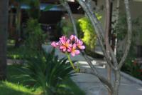 Standard Doppelzimmer