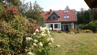 BAKUSIOWY ZAKĄTEK - B&B