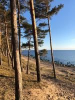 Ostas ielas apartamenti - Ferienwohnung Saulkrasti