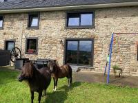 B&B Waimes - Holiday home in Waimes with natural surroundings - Bed and Breakfast Waimes