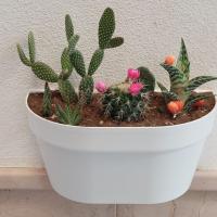 CASA VACANZE NANA' VIESTE - B&B