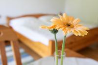 Frühstückspension Rottensteiner - B&B Otterthal