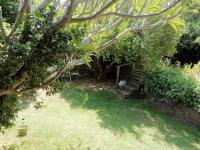 Garden cottage - B&B Cape Town