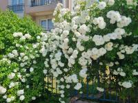 Studio Apartment with balcony 300m from beach - B&B Slanchev Bryag
