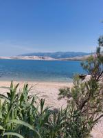 Sunny Deluxe Apartment with 2 AC and seaview - 50 m from sandy beach - B&B Isola di Pago