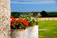 Fig Tree House - B&B Penryn