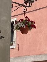 Apartment ALMA - B&B
