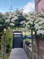 Chambres d'Hôtes vue mer entre Plestin les Grèves et locquirec - B&B Plestin-les-Grèves