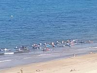 torre Azafata - B&B Arenales del Sol