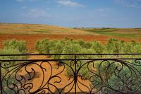 Vintage country house in Halkidiki - B&B