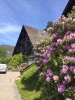 On the hill - B&B