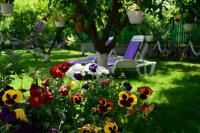 B&B Vama Veche - Helen Vama Veche - Bed and Breakfast Vama Veche