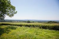 Little Idyll shepherds hut - B&B